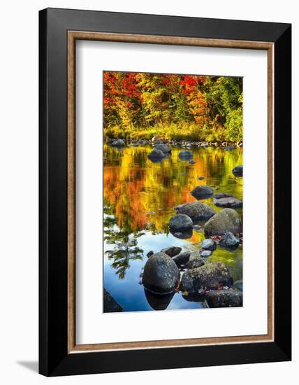 Fall Colors Reflected in a River-George Oze-Framed Photographic Print