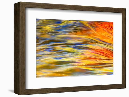 Fall colors reflected in motion blurred view of the Lower Deschutes River, Central Oregon, USA-Stuart Westmorland-Framed Photographic Print