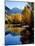 Fall Colors Reflected in Mountain Lake, Telluride, Colorado, USA-Cindy Miller Hopkins-Mounted Photographic Print