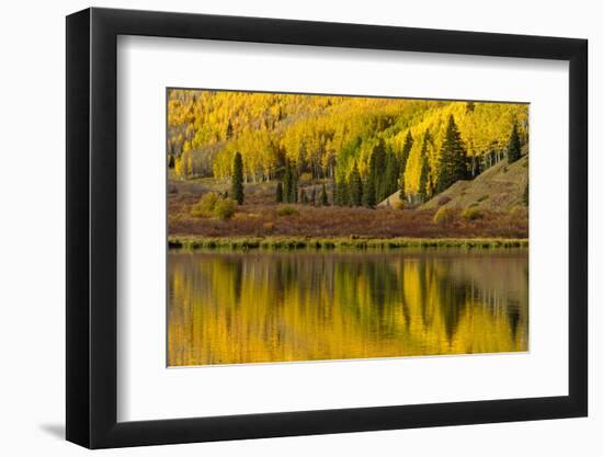 Fall colors reflected on Crystal Lake at sunrise, Ouray, Colorado-Adam Jones-Framed Photographic Print