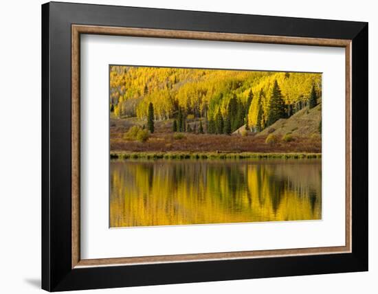 Fall colors reflected on Crystal Lake at sunrise, Ouray, Colorado-Adam Jones-Framed Photographic Print