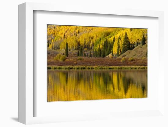 Fall colors reflected on Crystal Lake at sunrise, Ouray, Colorado-Adam Jones-Framed Photographic Print