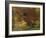 Fall Colors, View Of Country Land, Loudoun County, Virginia, USA-Kenneth Garrett-Framed Photographic Print