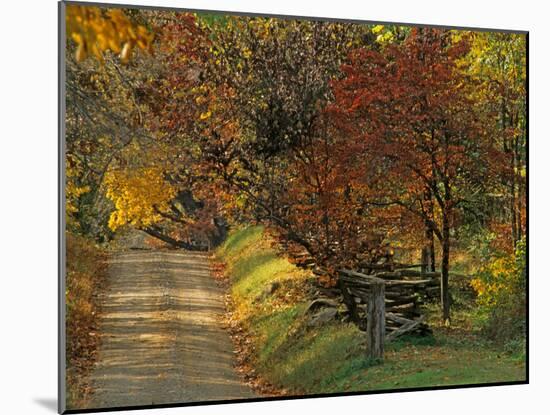 Fall Colors, View Of Country Land, Loudoun County, Virginia, USA-Kenneth Garrett-Mounted Photographic Print