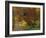 Fall Colors, View Of Country Land, Loudoun County, Virginia, USA-Kenneth Garrett-Framed Photographic Print
