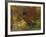 Fall Colors, View Of Country Land, Loudoun County, Virginia, USA-Kenneth Garrett-Framed Photographic Print