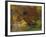 Fall Colors, View Of Country Land, Loudoun County, Virginia, USA-Kenneth Garrett-Framed Photographic Print