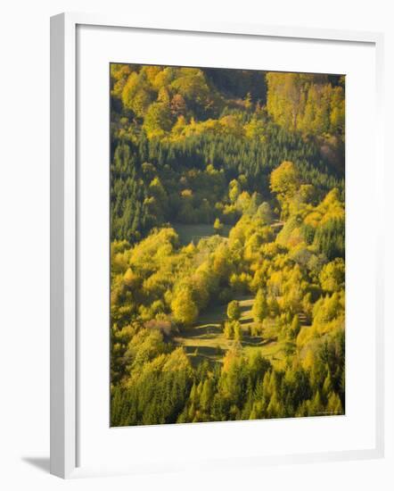 Fall Colors, Viseu de Sus, Maramures, Romania-Russell Young-Framed Photographic Print