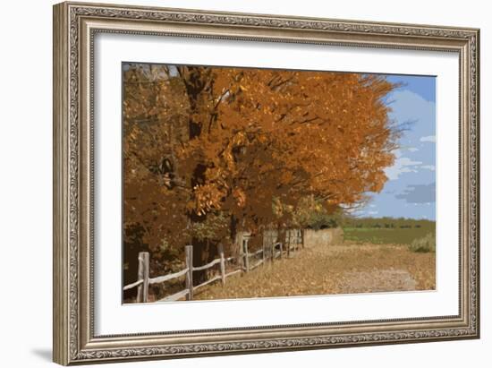 Fall Colors-Monte Nagler-Framed Photographic Print