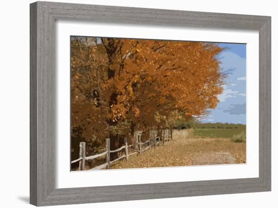 Fall Colors-Monte Nagler-Framed Photographic Print