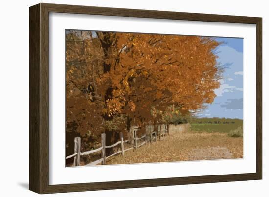 Fall Colors-Monte Nagler-Framed Photographic Print