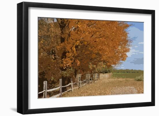 Fall Colors-Monte Nagler-Framed Photographic Print