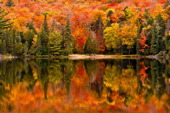 Fall Colour Reflected in the Still Waters of Canisbay Lake