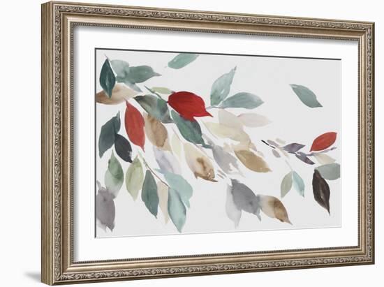 Fall Coloured Leaves III-Asia Jensen-Framed Art Print