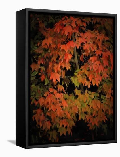 Fall Colours 1-Dorothy Berry-Lound-Framed Premier Image Canvas