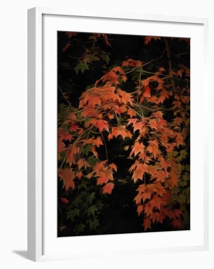 Fall Colours 2-Dorothy Berry-Lound-Framed Giclee Print