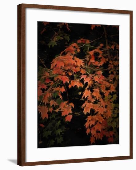 Fall Colours 2-Dorothy Berry-Lound-Framed Giclee Print