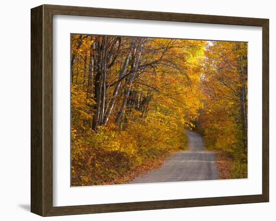 Fall Colours, Baxter State Park, Maine, New England, United States of America, North America-Alan Copson-Framed Photographic Print