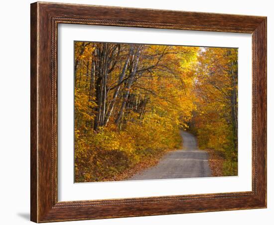 Fall Colours, Baxter State Park, Maine, New England, United States of America, North America-Alan Copson-Framed Photographic Print