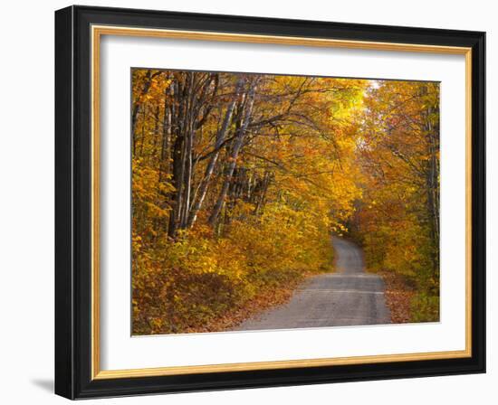 Fall Colours, Baxter State Park, Maine, New England, United States of America, North America-Alan Copson-Framed Photographic Print