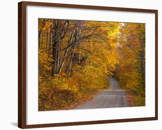 Fall Colours, Baxter State Park, Maine, New England, United States of America, North America-Alan Copson-Framed Photographic Print