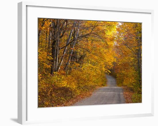 Fall Colours, Baxter State Park, Maine, New England, United States of America, North America-Alan Copson-Framed Photographic Print