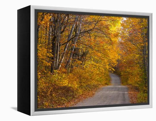 Fall Colours, Baxter State Park, Maine, New England, United States of America, North America-Alan Copson-Framed Premier Image Canvas