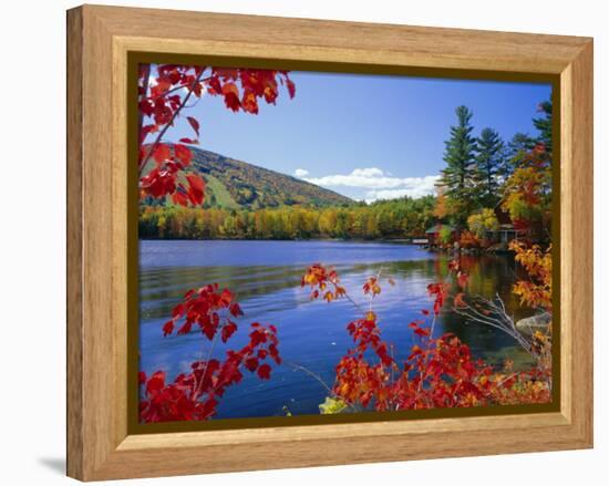 Fall Colours, Moose Pond, with Mount Pleasant in the Background, Maine, New England, USA-Roy Rainford-Framed Premier Image Canvas