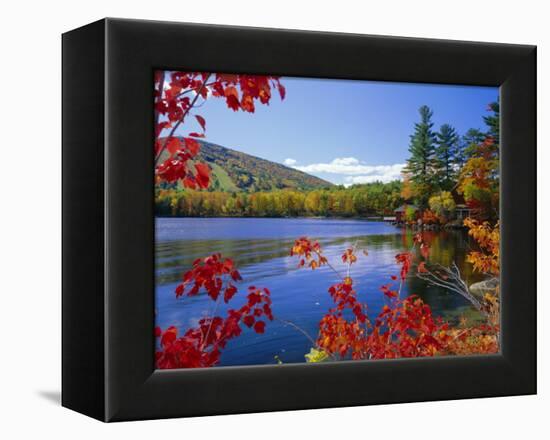 Fall Colours, Moose Pond, with Mount Pleasant in the Background, Maine, New England, USA-Roy Rainford-Framed Premier Image Canvas