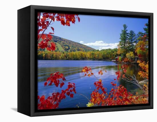 Fall Colours, Moose Pond, with Mount Pleasant in the Background, Maine, New England, USA-Roy Rainford-Framed Premier Image Canvas