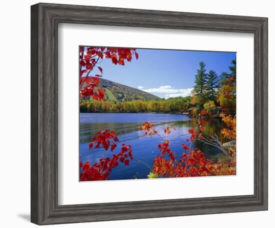 Fall Colours, Moose Pond, with Mount Pleasant in the Background, Maine, New England, USA-Roy Rainford-Framed Photographic Print