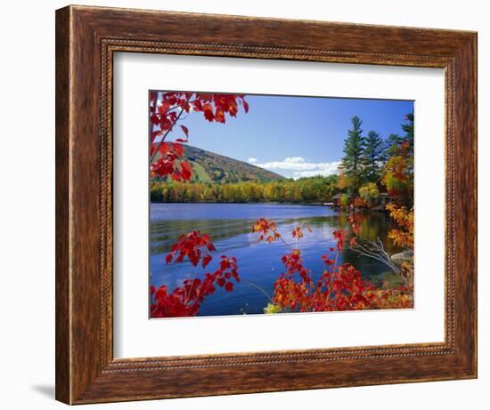 Fall Colours, Moose Pond, with Mount Pleasant in the Background, Maine, New England, USA-Roy Rainford-Framed Photographic Print