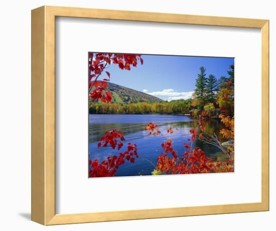 Fall Colours, Moose Pond, with Mount Pleasant in the Background, Maine, New England, USA-Roy Rainford-Framed Photographic Print