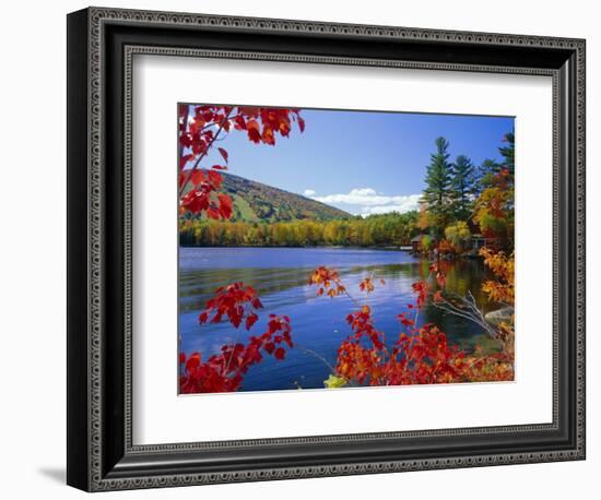 Fall Colours, Moose Pond, with Mount Pleasant in the Background, Maine, New England, USA-Roy Rainford-Framed Photographic Print