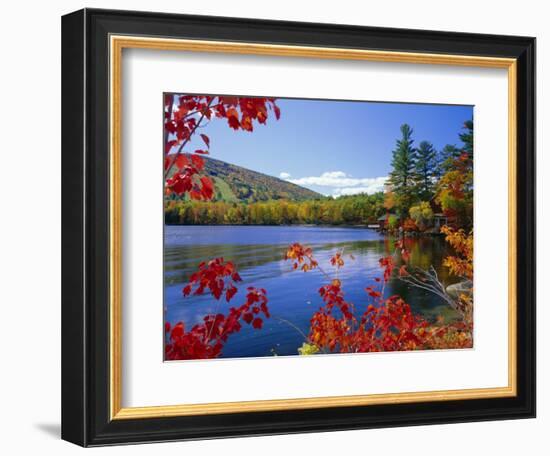 Fall Colours, Moose Pond, with Mount Pleasant in the Background, Maine, New England, USA-Roy Rainford-Framed Photographic Print