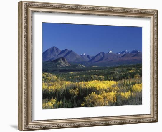 Fall Colours over Denali National Park, Alaska, USA-John Warburton-lee-Framed Photographic Print