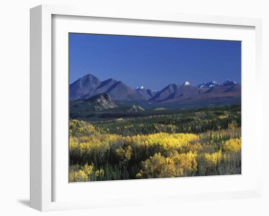 Fall Colours over Denali National Park, Alaska, USA-John Warburton-lee-Framed Photographic Print