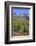 Fall Colours, Telluride, Western San Juan Mountains in the Background-Richard Maschmeyer-Framed Photographic Print