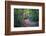 Fall Colours-Tim Oldford-Framed Photographic Print