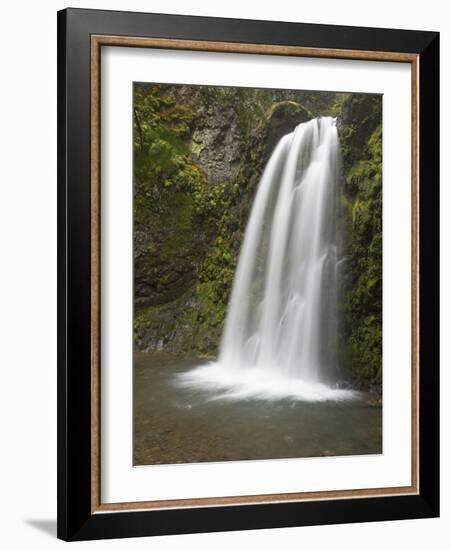 Fall Creek Falls, Oregon, USA-William Sutton-Framed Photographic Print