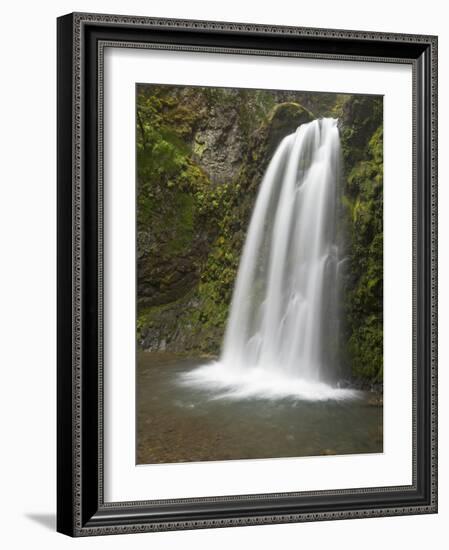 Fall Creek Falls, Oregon, USA-William Sutton-Framed Photographic Print