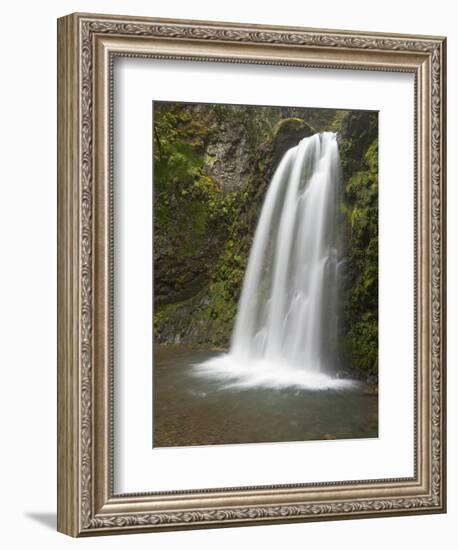 Fall Creek Falls, Oregon, USA-William Sutton-Framed Photographic Print