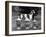 Fall, Crufts, 1956, Greyh'D-Thomas Fall-Framed Photographic Print