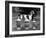 Fall, Crufts, 1956, Greyh'D-Thomas Fall-Framed Photographic Print