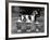 Fall, Crufts, 1956, Greyh'D-Thomas Fall-Framed Photographic Print