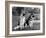 Fall, Crufts, 2 Champions-Thomas Fall-Framed Photographic Print