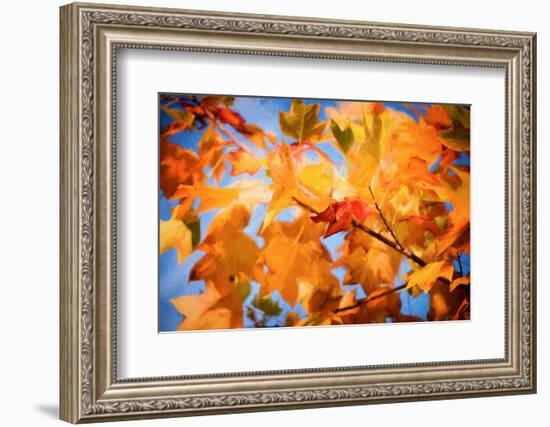 Fall Decorations-Philippe Sainte-Laudy-Framed Photographic Print