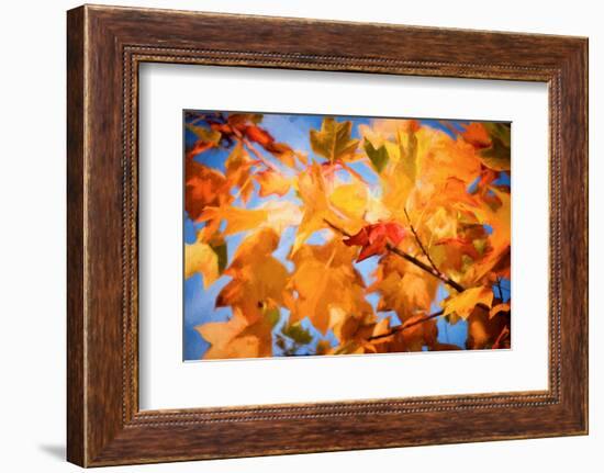 Fall Decorations-Philippe Sainte-Laudy-Framed Photographic Print