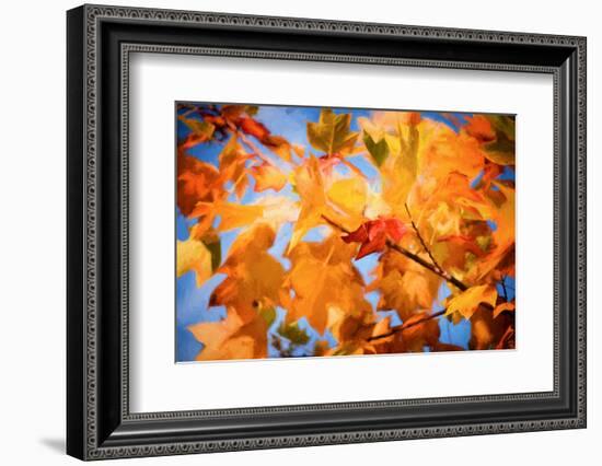 Fall Decorations-Philippe Sainte-Laudy-Framed Photographic Print