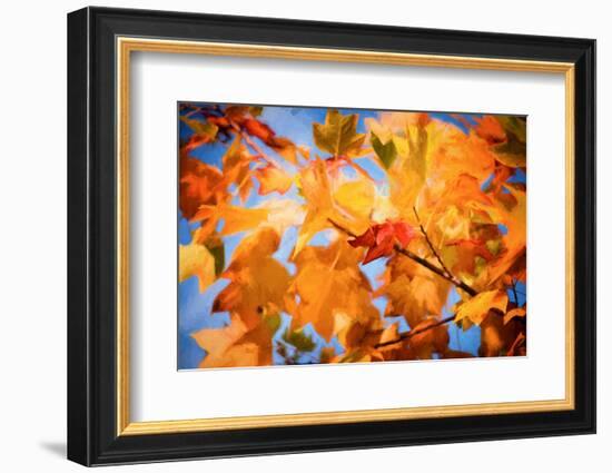 Fall Decorations-Philippe Sainte-Laudy-Framed Photographic Print